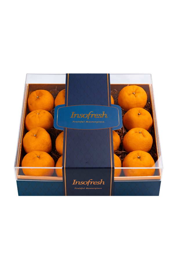 Abundance 16s XL Royal Gift Box Premium Mountain Mandarin Orange